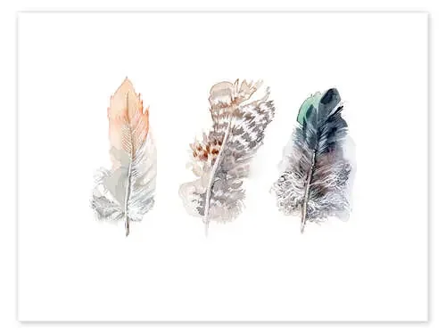 3 plumas de Verbrugge Watercolor