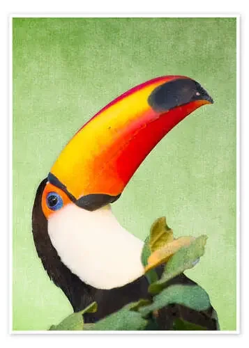 A colourful toucan bird on a tropical background. de Alex Saberi