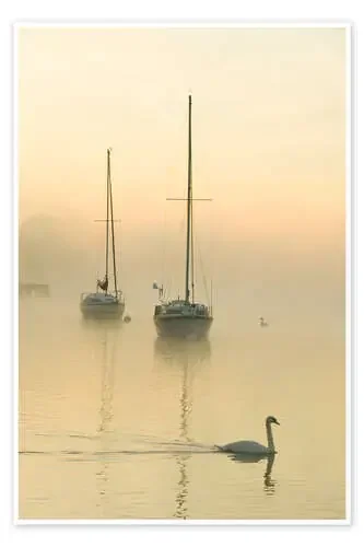A misty morning over Lake Windermere, UK de Ashley Cooper Science Photo Library