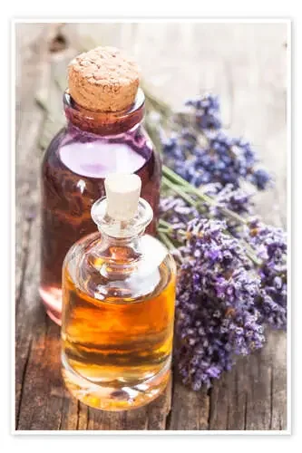Aceites para un spa Editors Choice
