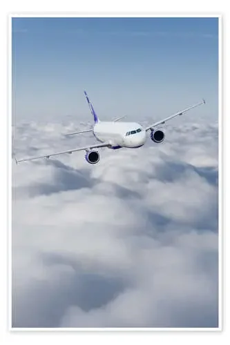 Airliner in flight Editors Choice