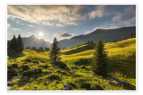 Almsommer de Rainer Mirau