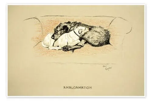 Amalgamation de Cecil Charles Windsor Aldin Bridgeman Images