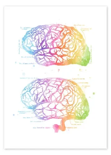Anatomía del cerebro humano (inglés) de Mod Pop Deco