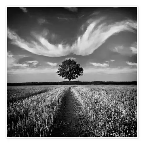 Árbol y nubes de Carsten Meyerdierks