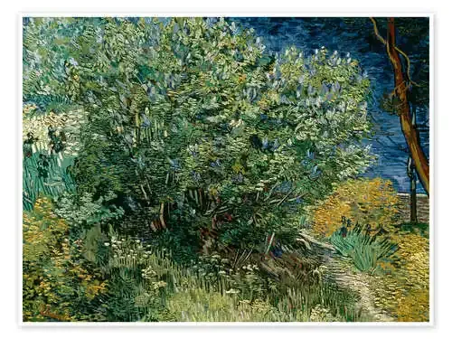 Arbusto con lilas, 1889 de Vincent van Gogh akg-images