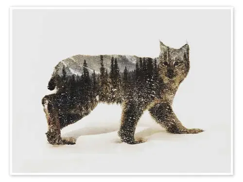 Arctic Lynx de Andreas Lie