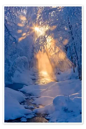 Arroyo en el bosque de invierno de Kevin Smith Design Pics