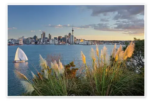 Auckland de Rainer Mirau