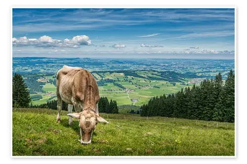 Ausblick mit Kuh de Andreas Kossmann
