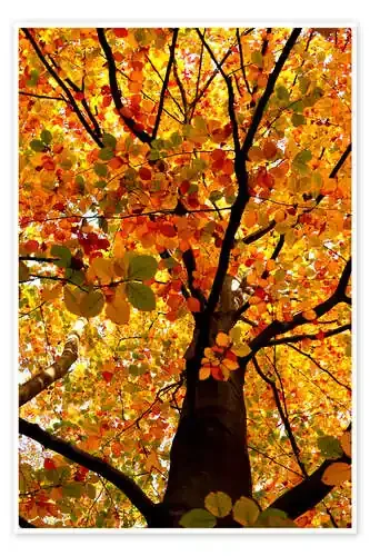 Autumn Tree de Atteloi
