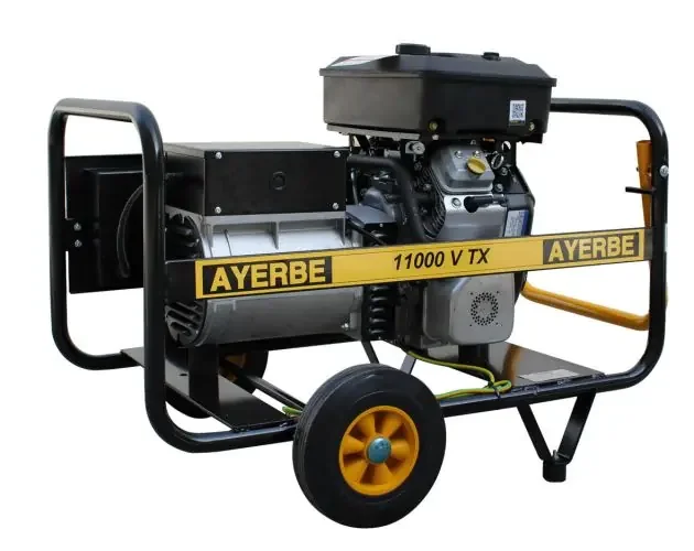 Ayerbe – 5417940 – generador 11000 tx avr motor vanguard | Brico Depôt Certificato