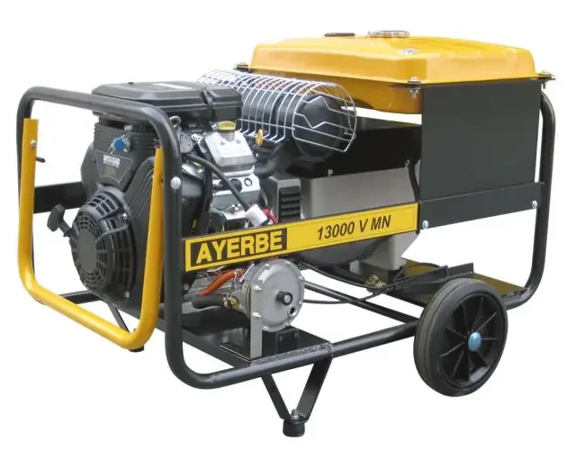 Ayerbe – 5418025 – generador 13000 mn avr motor vanguard | Brico Depôt Spedizione Mondiale