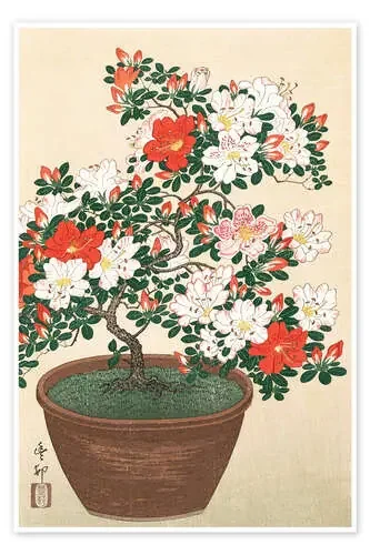 Azalea de Ohara Koson Master Collection