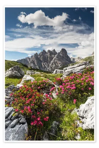 Azaleas en los Dolomitas de Mikolaj Gospodarek