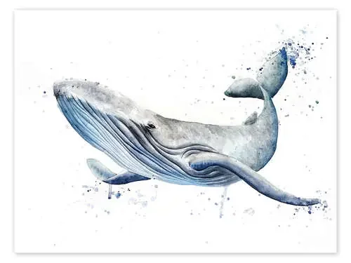 Ballena de Nadine Conrad