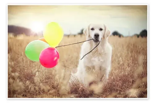 balloon wind strength test de Gabi Stickler