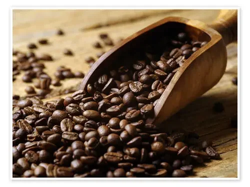 Barista Editors Choice