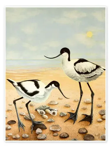 Beach birds de Pat Scott Bridgeman Images