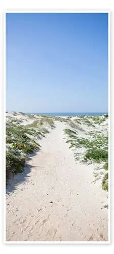 Beach Path Over the Dunes Editors Choice