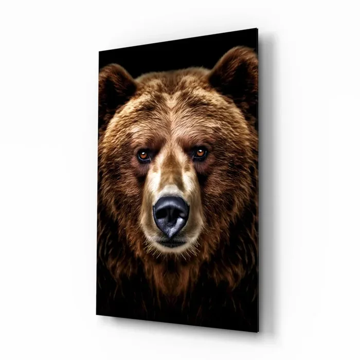 Bear, the Wise Man of the Forest Glass Wall Art Designer Collection – 28.5 » X 18 «