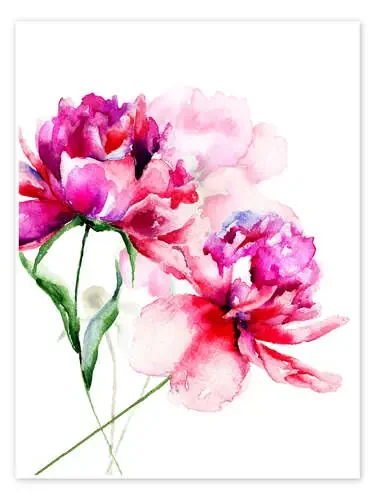 Bellas peonias Editors Choice