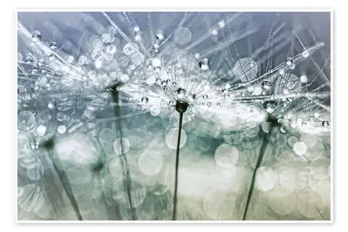 Blowball Bokeh Boogie…. (II) de Bob Daalder
