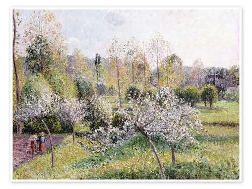 Blühende Apfelbäume in Eragny. 1895 de Camille Pissarro ARTOTHEK