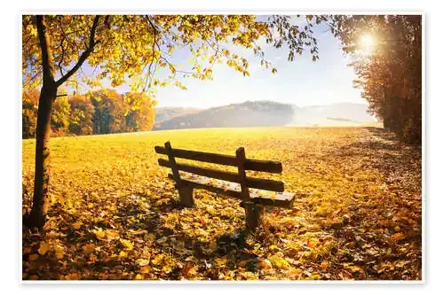 Bosque otoñal con la luz del sol de Jan Christopher Becke