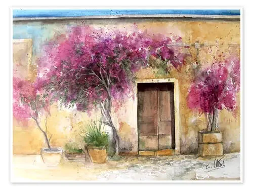 Bougainvillea on Mallorca de Eckard Funck
