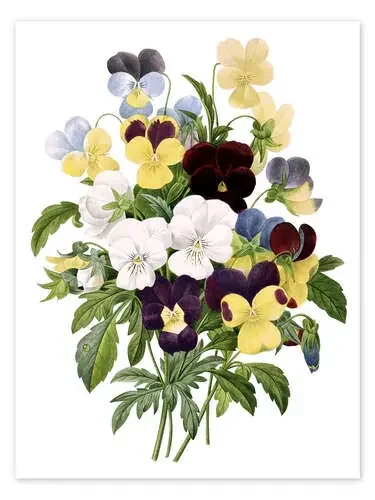 Bouquet of Pansies de Pierre Joseph Redouté Master Collection