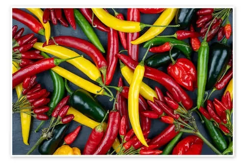 Bright chili variety de Thomas Klee