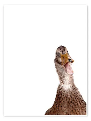 Brown Duck I de Animal Kids Collection Editors Choice