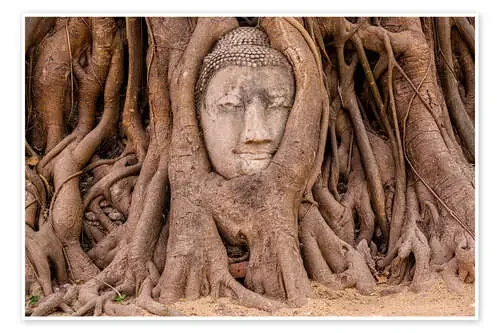 Buddha head sculpture Ayutthaya Thailand de Stefan Becker