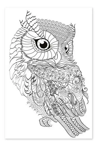 Búho Editors Choice
