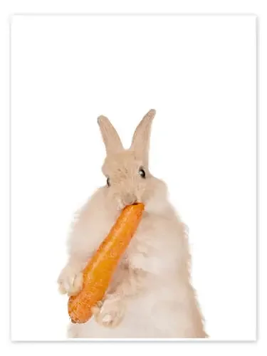Bunny with a carrot II de Animal Kids Collection Editors Choice