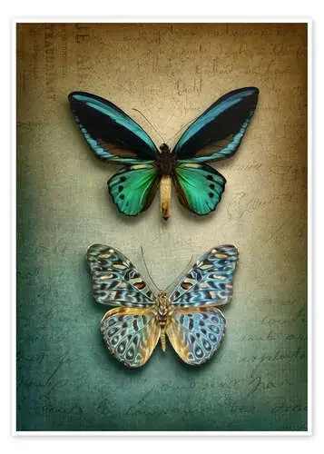 Butterflies de Elena Schweitzer