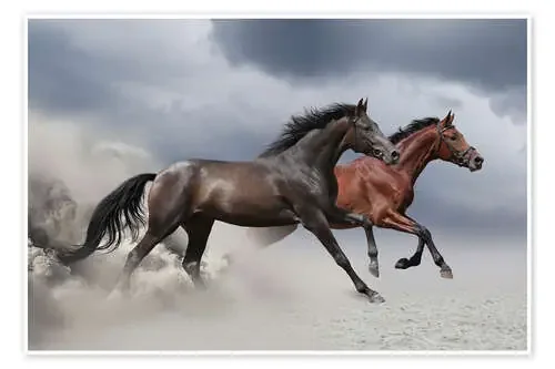 Caballos en la tormenta Editors Choice