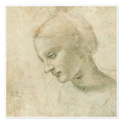 Cabeza de mujer de perfil de Leonardo da Vinci akg-images