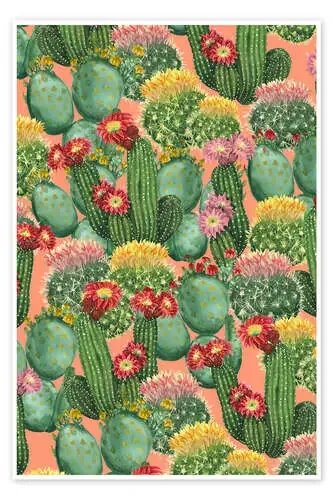 cactus meadow Editors Choice