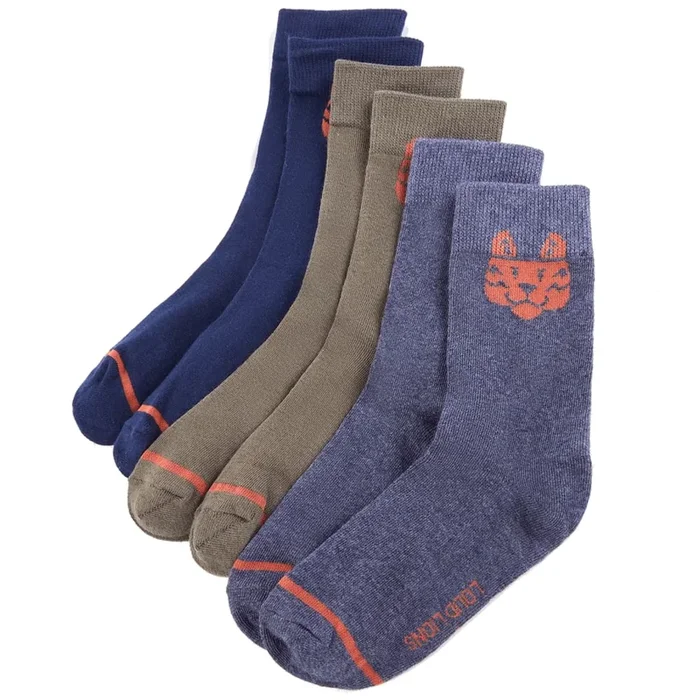 Calcetines infantiles 5 pares EU 26-29 (29)