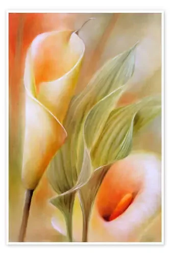 calla de Annette Schmucker
