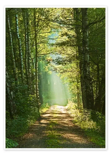 Camino a la luz de Moqui, Daniela Beyer