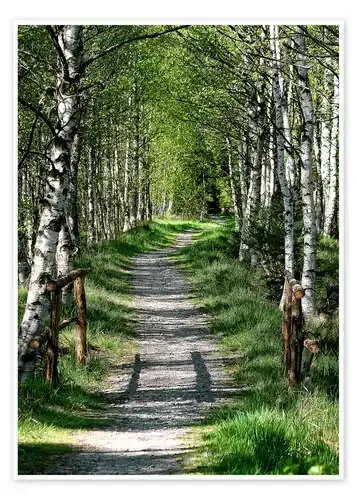 Caminos III de Moqui, Daniela Beyer