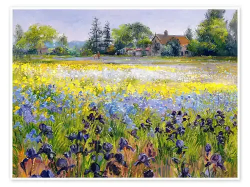 Campo de flores silvestres I de Timothy Easton Bridgeman Images