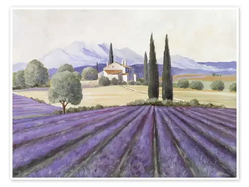 Campo de lavanda de Franz Heigl Advocate Art