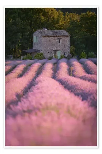 Casa en el campo de lavanda de Jens Sieckmann