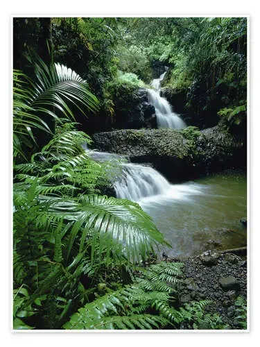 Cascada en hawai de Douglas Peebles Danita Delimont