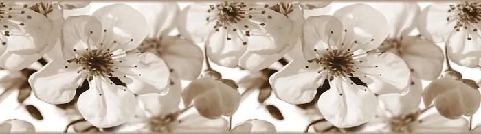 cenefa autoadhesiva flores beige claro de Sanders & Sanders – 600070
