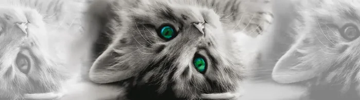 cenefa autoadhesiva gatitos gris y verde de Sanders & Sanders – 600071